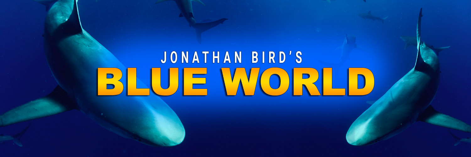 Blue World