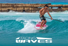 Facing Waves program logo