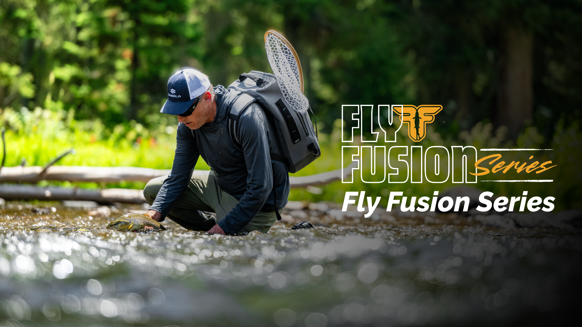 Fly Fusion TV