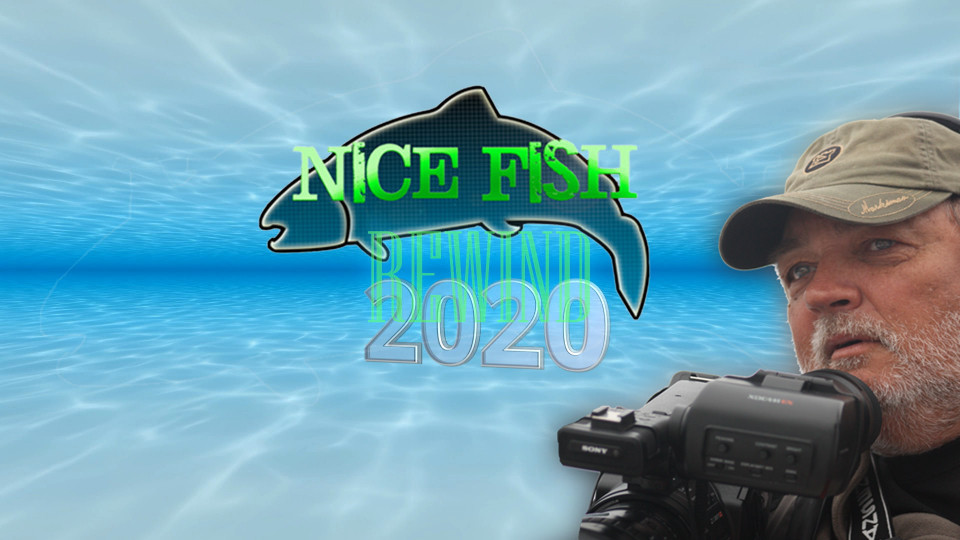 Nice Fish Rewind