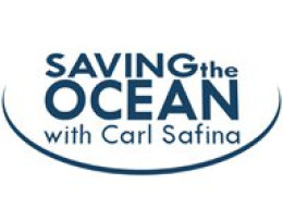 Saving the Ocean program logo