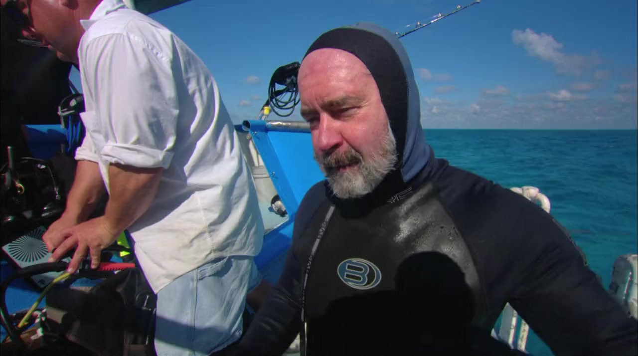 Sharkdivers